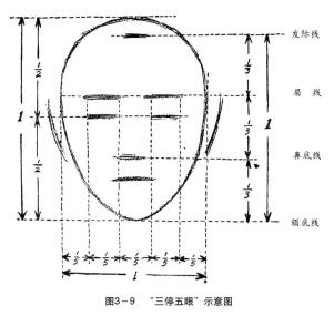 三停五眼 示意图