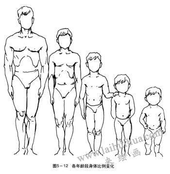 各年龄段身体比例变化