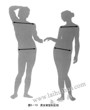 男女体型的区别