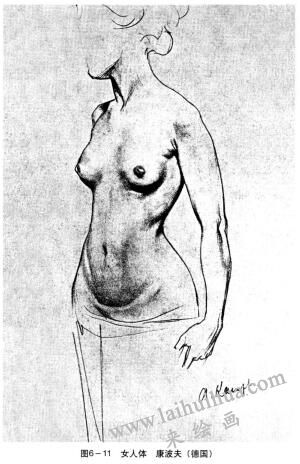 女人体素描