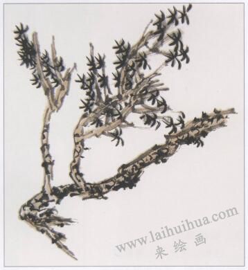中国画树枝的画法步骤04