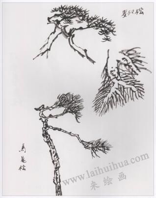 中国画树枝的画法步骤05