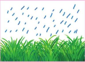 雨中的小草油棒画画法步骤03