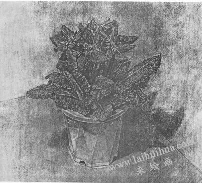 花的素描画01