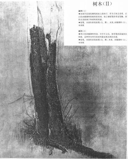树木的素描画02