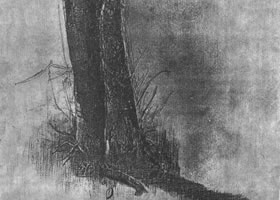 树木的素描画法范例（二）