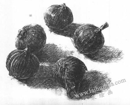 洋葱的素描画法范例02