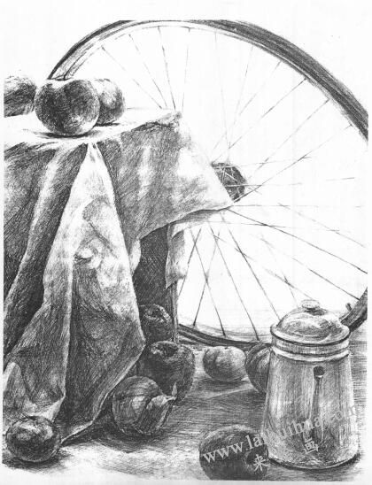 洋葱的素描画法范例03
