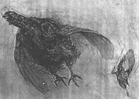 鸟的素描画法范例
