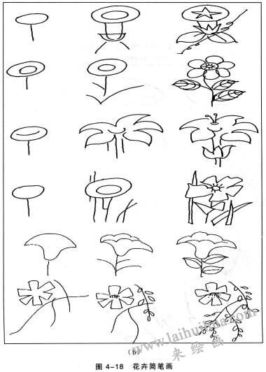 花卉简笔画