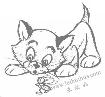 卡通猫的几何造型图例步骤06