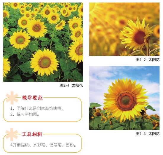 创意花（太阳花）儿童画创作步骤