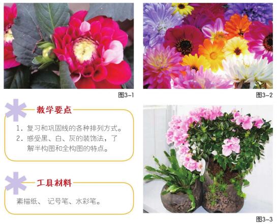 奇异花草儿童画创作步骤