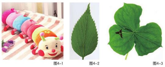 毛毛虫与树叶儿童绘画步骤01,02,03