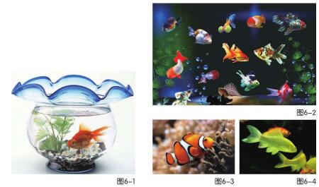 漂亮的鱼缸儿童绘画步骤01,02,03,04