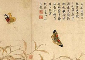 赵昌《写生蛱蝶图》赏析