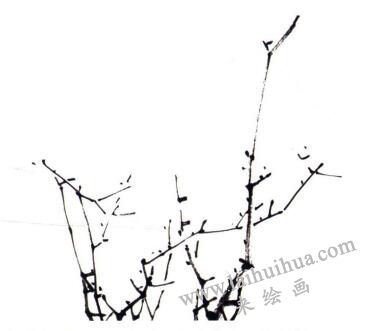 桃花的画法步骤01