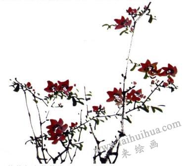 桃花的画法步骤03