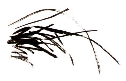 兰花的画法步骤02