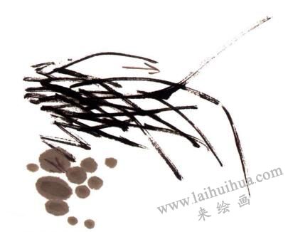 兰花的画法步骤03