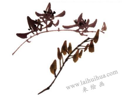 兰花的画法步骤04