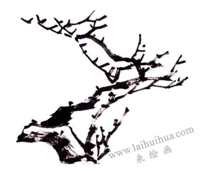 梅花的画法步骤02