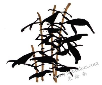 山丹丹花的画法步骤