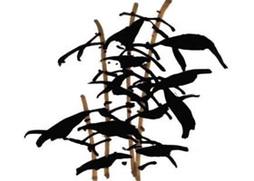 山丹丹花的画法步骤解析