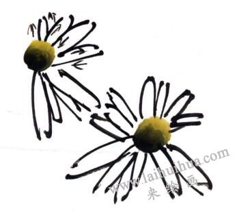 菊花的画法步骤01