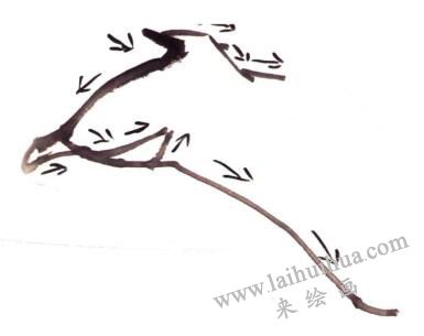 迎春花的画法步骤01