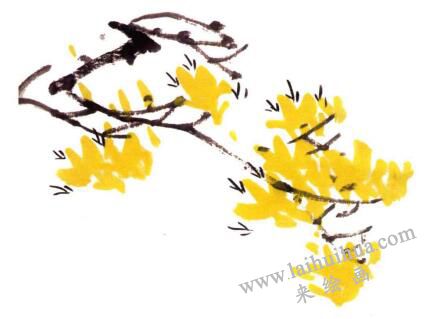 迎春花的画法步骤02
