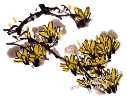 迎春花的画法步骤04