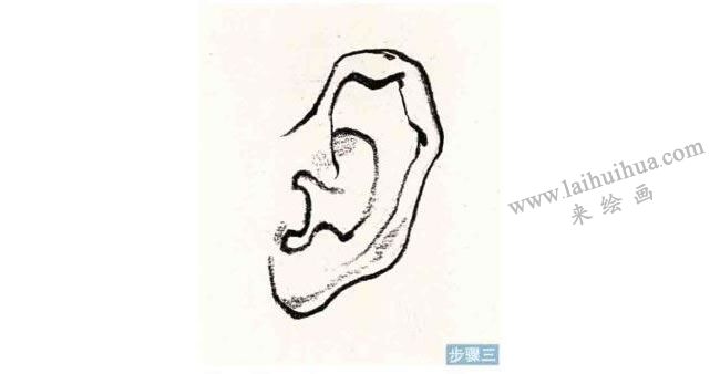 人物耳朵速写刻画步骤03