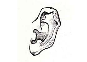 人物耳朵速写刻画要领（步骤分析）