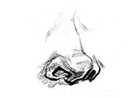 人物鼻子速写刻画要领（步骤分析）