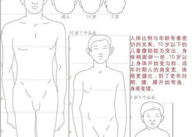人物速写中的比例标准