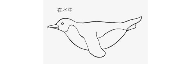 在水中的企鹅卡通画法