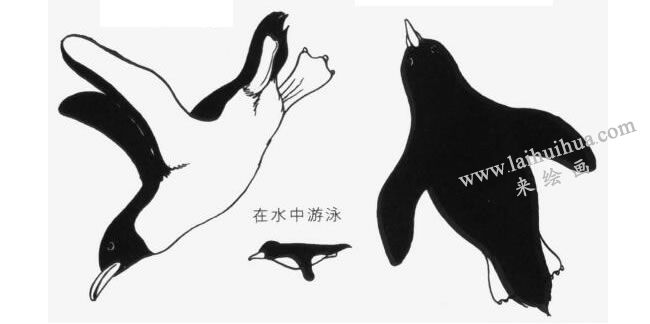 在水中游泳的企鹅卡通画法