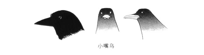 小嘴巴的乌鸦卡通画画法
