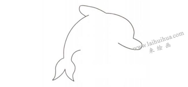 海豚卡通画法步骤01