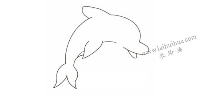 海豚卡通画法步骤02