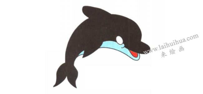 海豚卡通画法步骤03