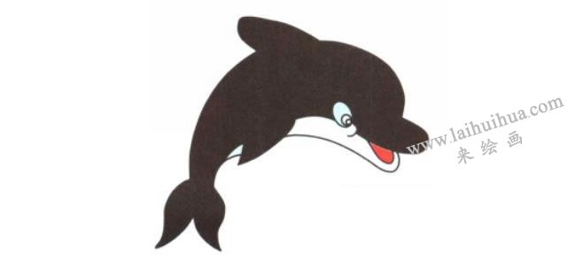 海豚卡通画法步骤04