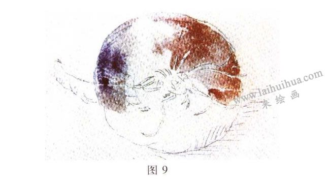 洋葱水彩画写生步骤02