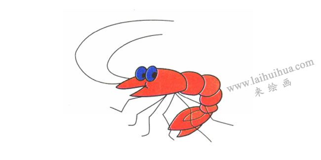 虾的儿童卡通画法步骤04