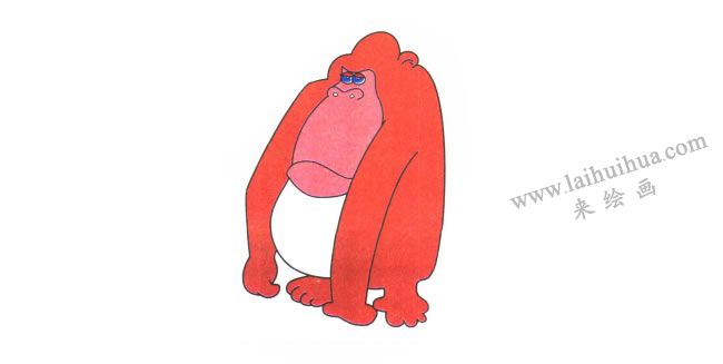 大猩猩儿童卡通画法步骤04