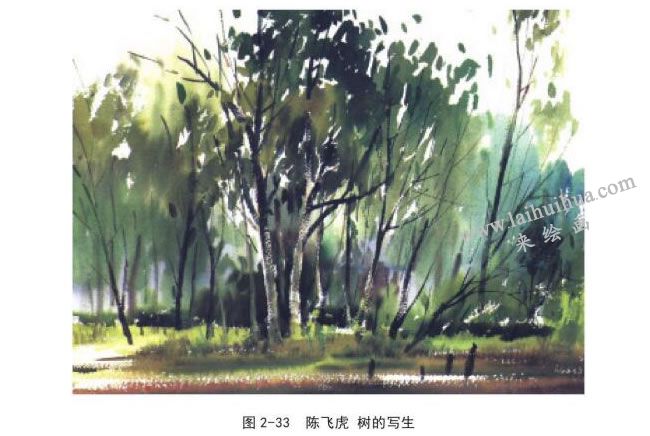 陈飞虎  树的写生