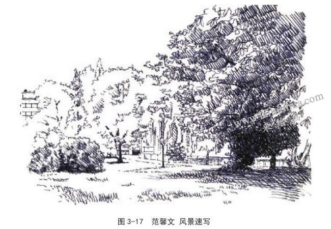 范馨文 动植物风景速写