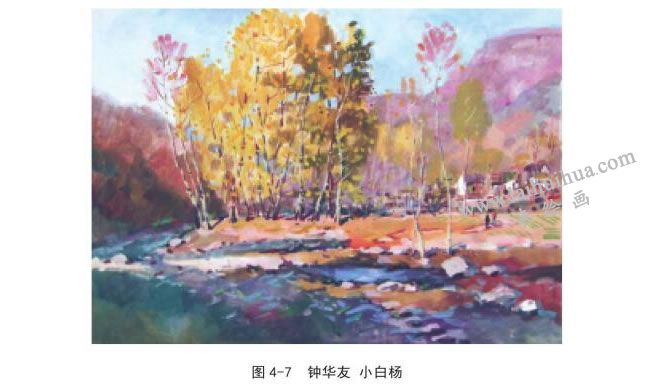 钟友华  小白杨速写作品