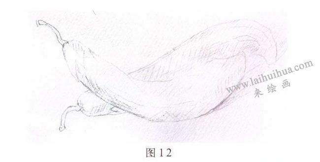 茄子水彩画写生步骤01